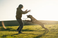 DOG BALL ON ROPE