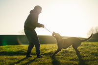 DOG BALL ON ROPE