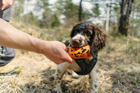 DOG THROW TOY