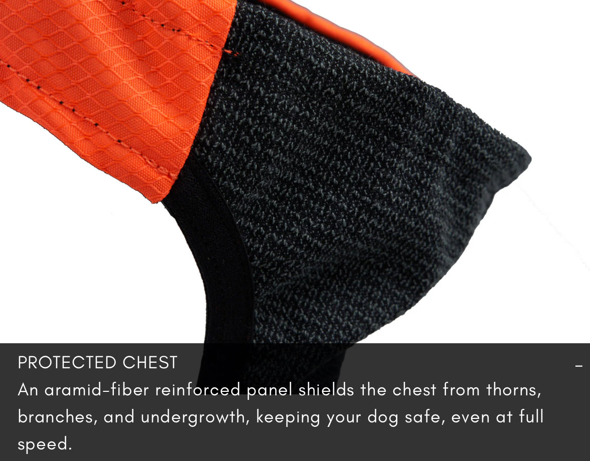 PROTECTOR VEST 2.0