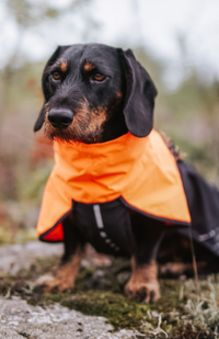 FJORD RAINCOAT - SÍÐUSTU EINTÖK !