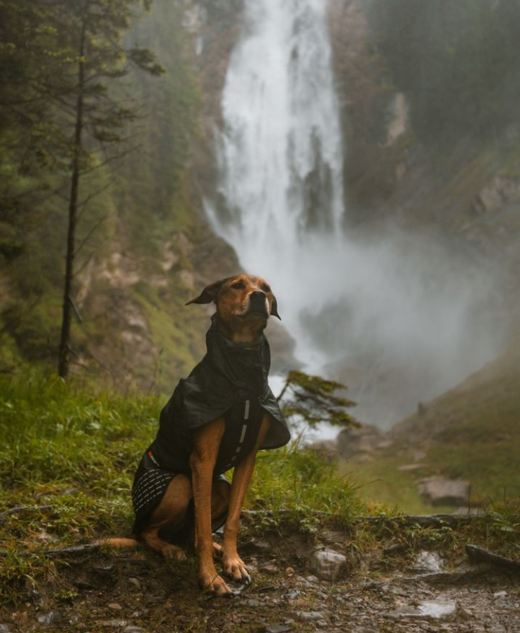 FJORD RAINCOAT - SÍÐUSTU EINTÖK !