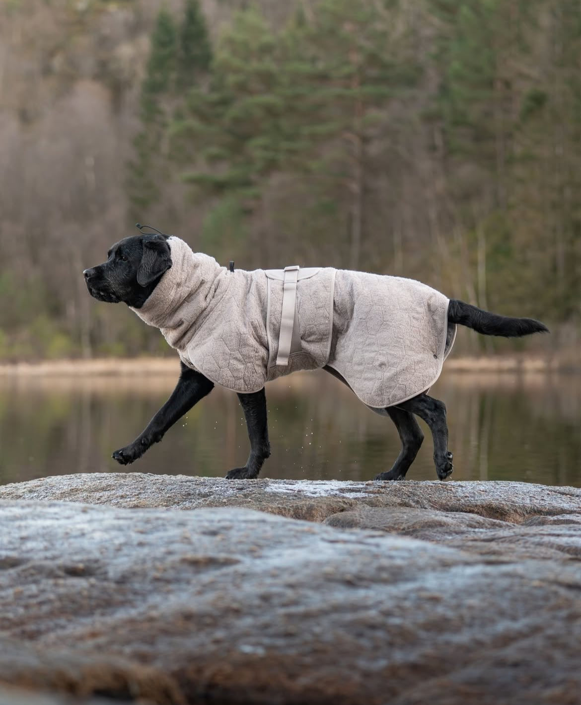 DRYING COAT
