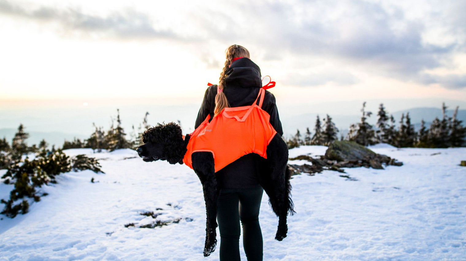 DOG RESCUE SLING PRO