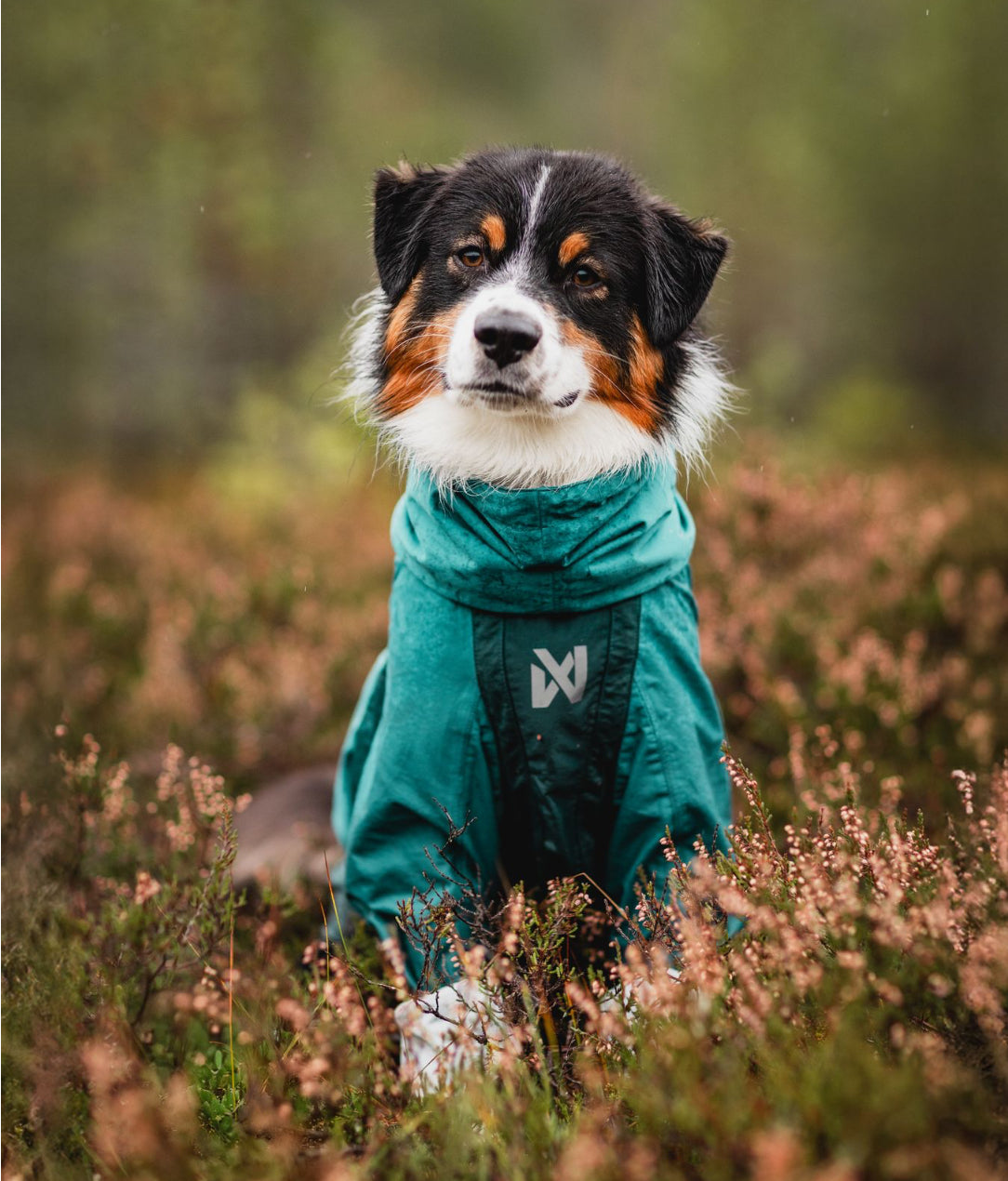 FJORD OVERALL RAINCOAT
