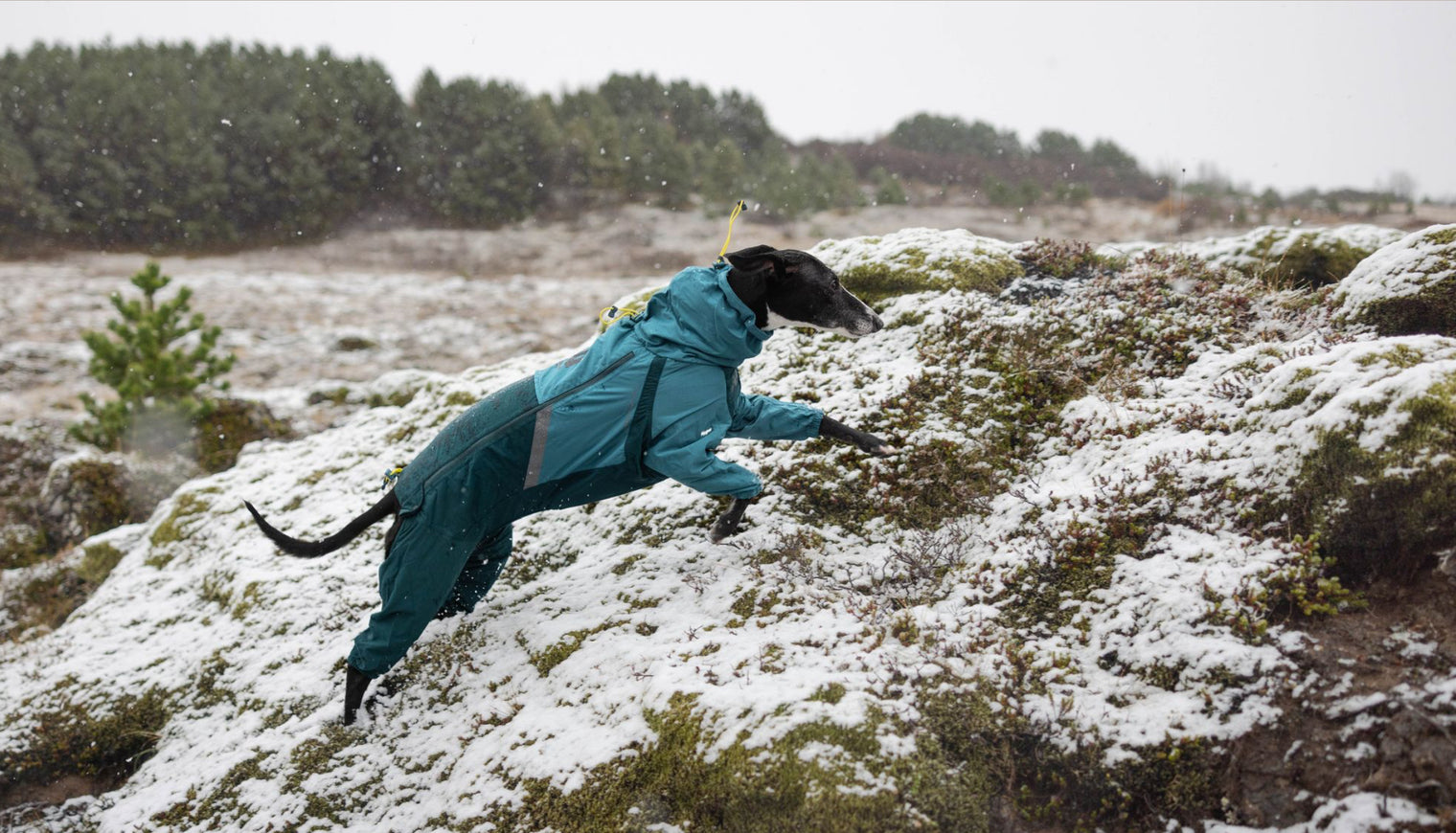 FJORD OVERALL RAINCOAT