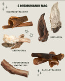 JÓLADAGATAL ÓSTÖÐVANDI x BAXTER