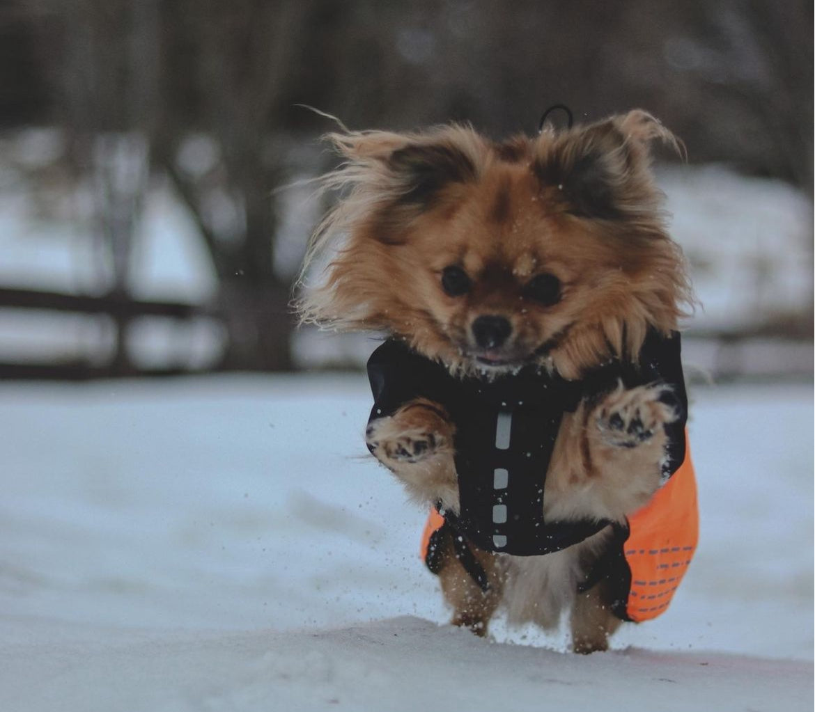 GLACIER JACKET 2.0 - SÍÐUSTU EINTÖK !