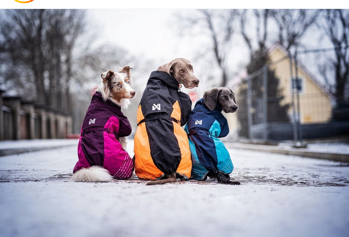 GLACIER JACKET 2.0 - SÍÐUSTU EINTÖK !