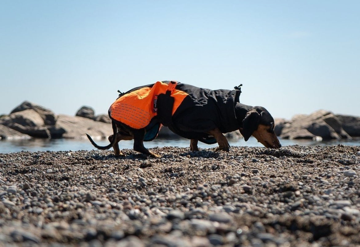 GLACIER JACKET 2.0 - SÍÐUSTU EINTÖK !