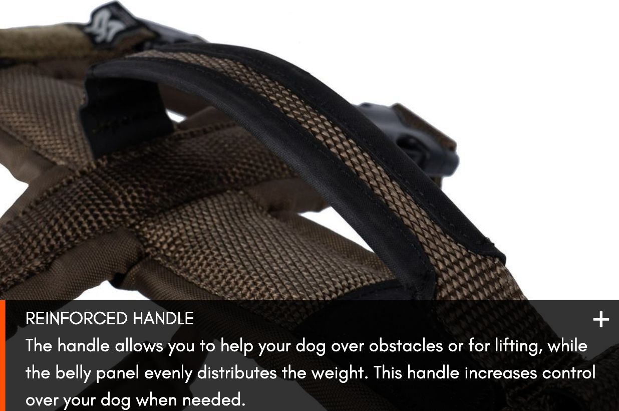 LINE HARNESS LONG WD