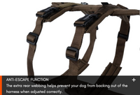 LINE HARNESS LONG WD