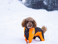 PROTECTOR SNOW - SÍÐUSTU EINTÖK !