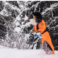PROTECTOR SNOW - SÍÐUSTU EINTÖK !