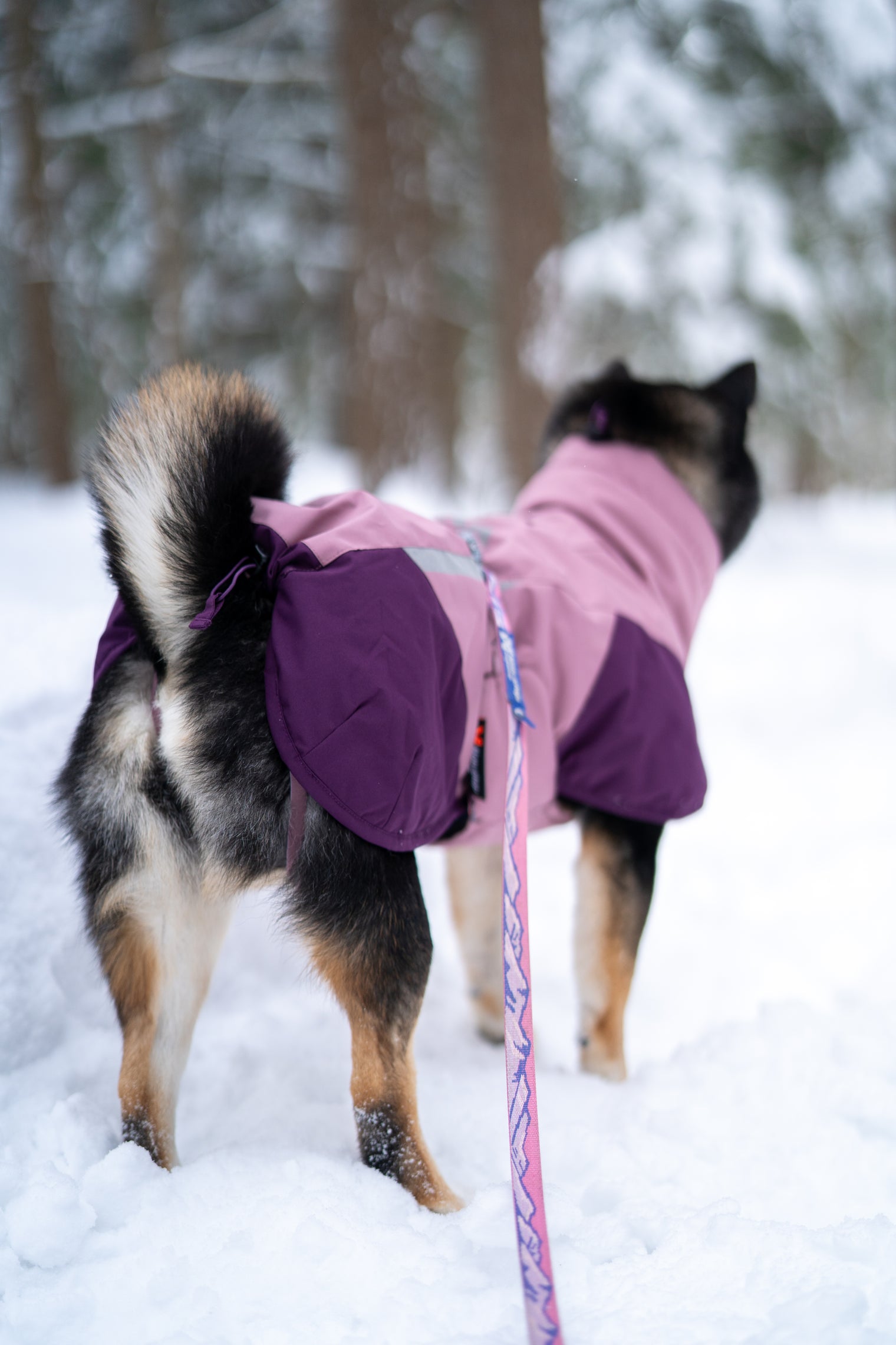GLACIER JACKET 3.0