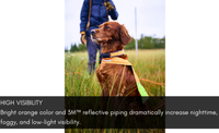 PROTECTOR COLLAR