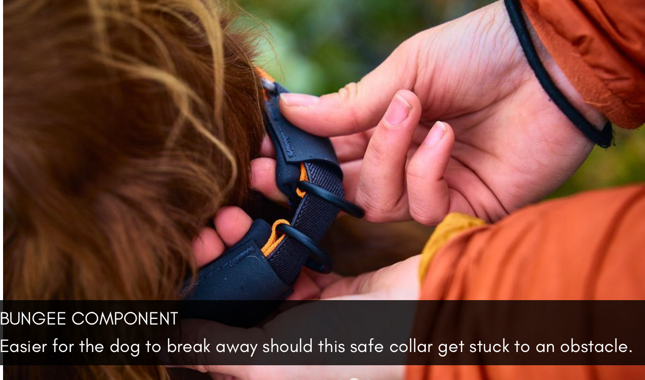 PROTECTOR COLLAR