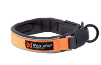 PROTECTOR COLLAR