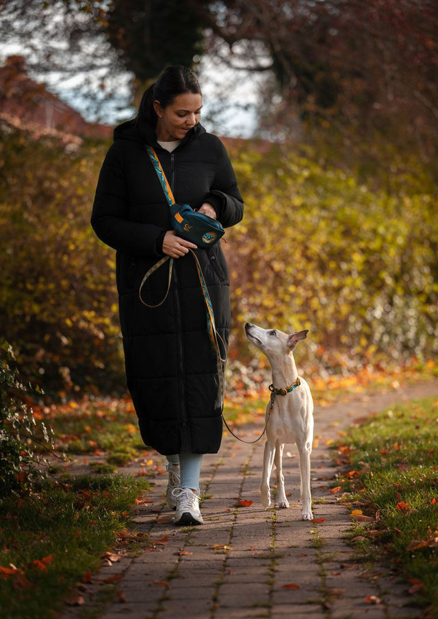 TRAIL QUEST LEASH RACHEL POHL EDITION