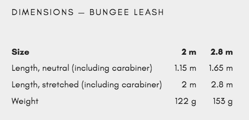 BUNGEE LEASH