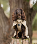 WOOL DOG JACKET