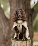 WOOL DOG JACKET