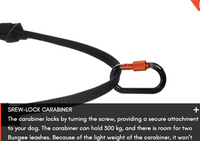 CANIX BELT 2.0