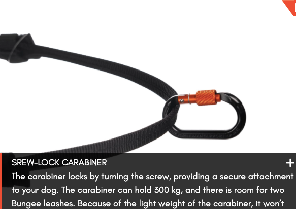CANIX BELT 2.0