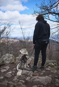 TRAIL LIGHT BELT