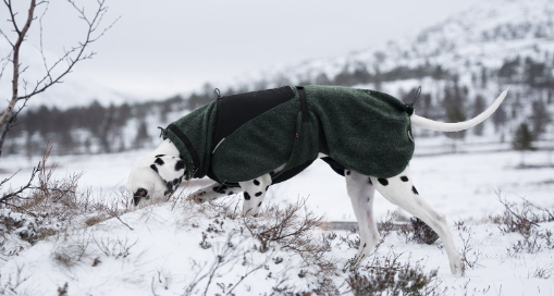 WOOL DOG JACKET