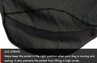 WOOL DOG JACKET