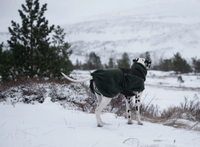 WOOL DOG JACKET