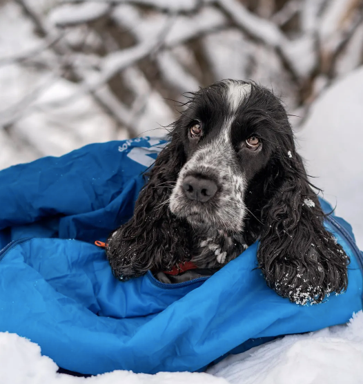 LY SLEEPING BAG