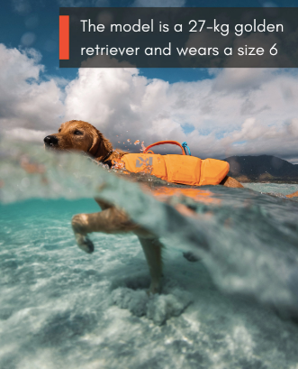PROTECTOR LIFE JACKET