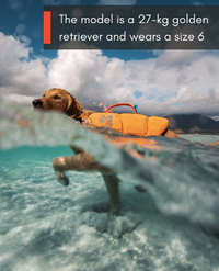 PROTECTOR LIFE JACKET