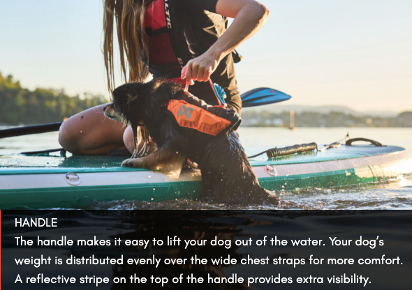 PROTECTOR LIFE JACKET