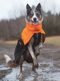 FJORD RAINCOAT - SÍÐUSTU EINTÖK !