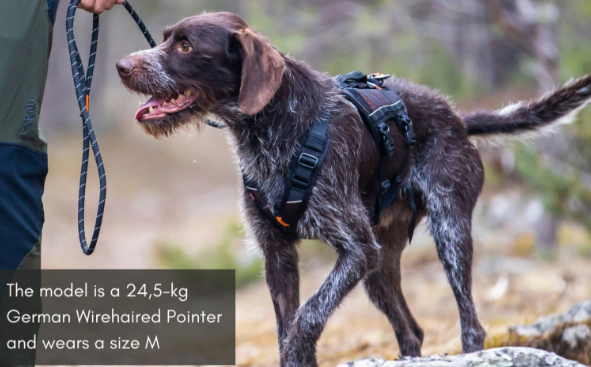 ROCK HARNESS LONG