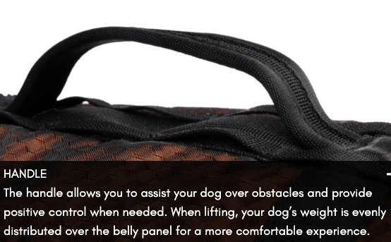 ROCK HARNESS LONG