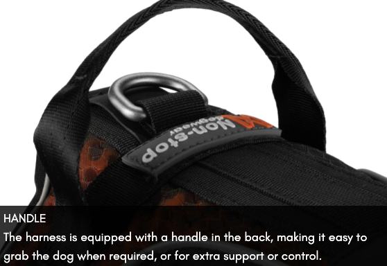 ROCK HARNESS