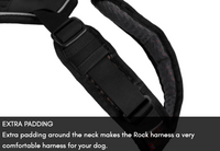 ROCK HARNESS