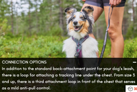 LINE HARNESS 5.0