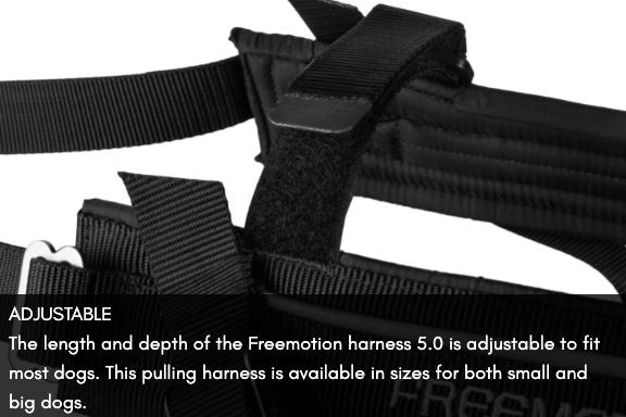 FREEMOTION HARNESS 5.0