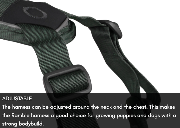 RAMBLE HARNESS