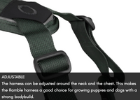 RAMBLE HARNESS