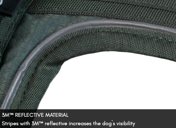 RAMBLE HARNESS