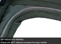RAMBLE HARNESS