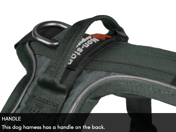 RAMBLE HARNESS