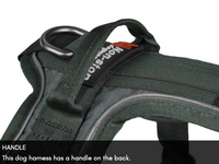 RAMBLE HARNESS