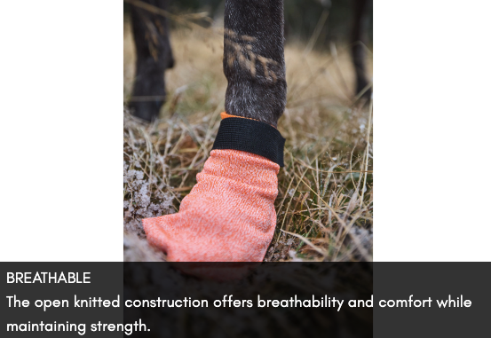 PROTECTOR LIGHT SOCKS